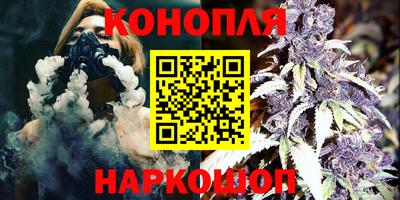 мяу мяу мука Гатчина