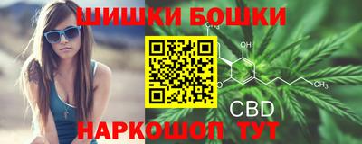 шишки Гагарин