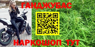 шишки Гагарин