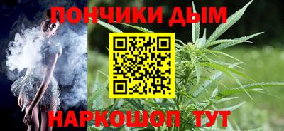 шишки Гагарин