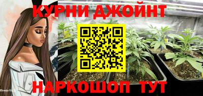 шишки Гагарин